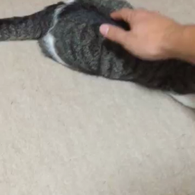 夏が来て2カ月の画像