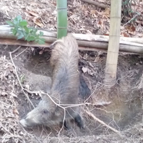 たっぷり雪降ったなぁ〰の画像