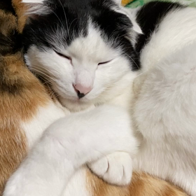 自然な流れの画像