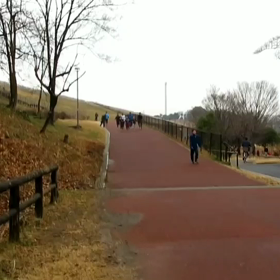 ペース走(１組目)中間点の画像