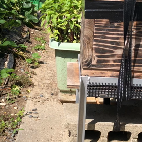 雨にも負けず、風にも負けず　の画像