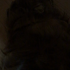 マウイライブの画像