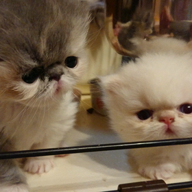 載せてなかった(^^;の画像