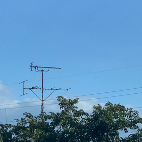 適度に外に出ないと生きていけないの画像