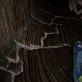 大阪受診 １歳2ヶ月の画像