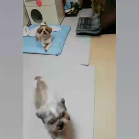 見つかっちゃった (^_^;)の画像