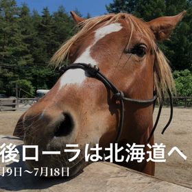 今日はずっと雨，明日も。の画像