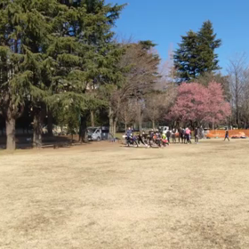 特別練習 B 学年別インターバル 21の画像