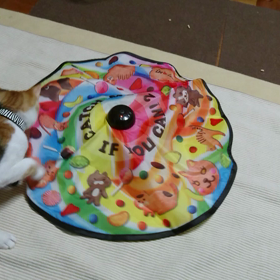 ナイスタイミング☆の画像