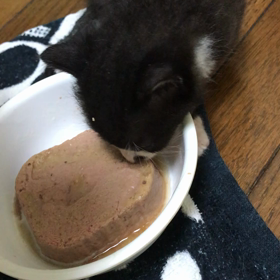 初離乳食！の画像