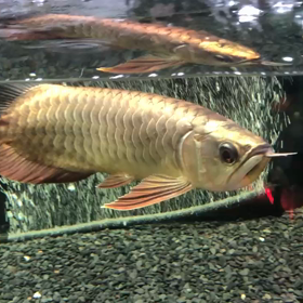 動画アップ！の画像