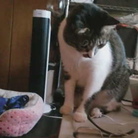 ごめんね、ティさんの画像