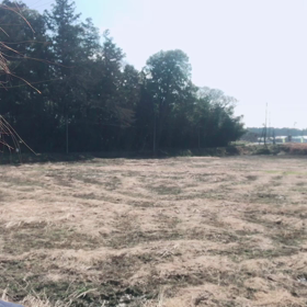 なう　抽選会始まりますわよ〜の画像