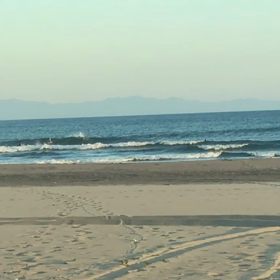 今朝の膝波乗りより、、、なべちゃん、椛ちゃん、恒ちゃんの画像