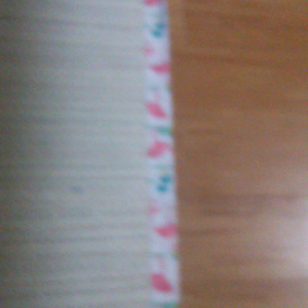 独り遊びに夢中(о´∀`о)の画像