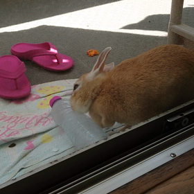 プラス稼いで〜!!の画像