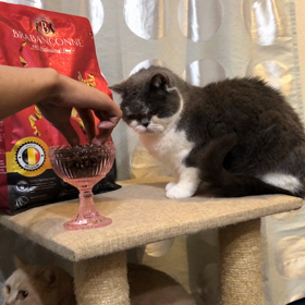 じろうさんのご飯シーンの画像