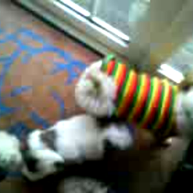 ８年前のジョニーパパ一家の画像