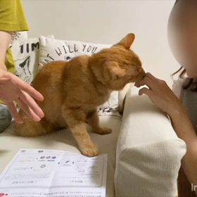 可愛いふぐお❣️の画像