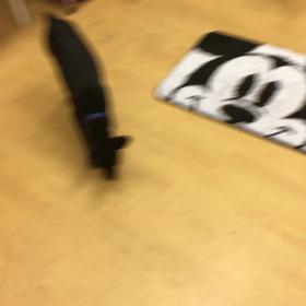 ショーにも怖いものがあったんか！！の画像