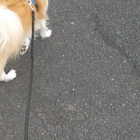 コウタとの日常の画像