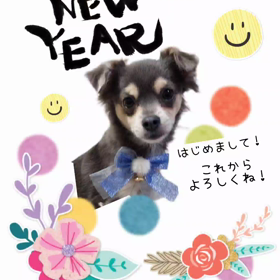 明けましておめでとうございますの画像