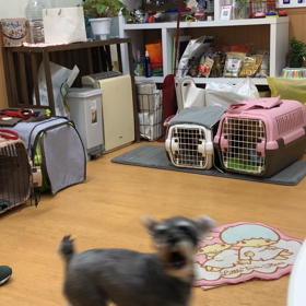 合わせ技。の画像