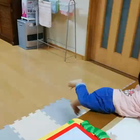 孫ちんが歩いた！の画像