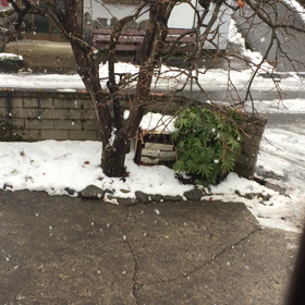 駅伝を見ながらの画像