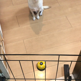 上手になってきたよ！の画像