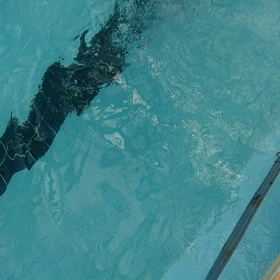 張り切りすぎのブルー君の画像