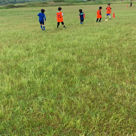 どろどろ　そして　水溜まり　の画像