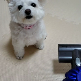 渦中の山根会長が父と類似するの画像