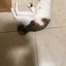 2021/10/18デールお出迎え！スポーツクラブの実情。の画像