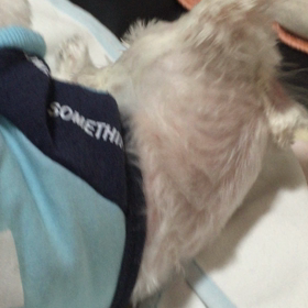 スイッチ。の画像