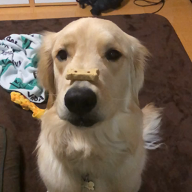 やったー！成功！！の画像