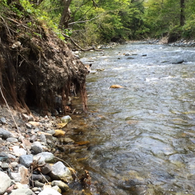 ３年前の出来事の画像
