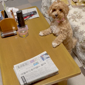 こっちゃんのなのに…の画像