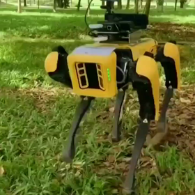 シンガくーる・ニュース<ロボット犬がシンガポールの公園をパトロール‼️>の画像