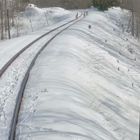 鹿と遭遇の画像