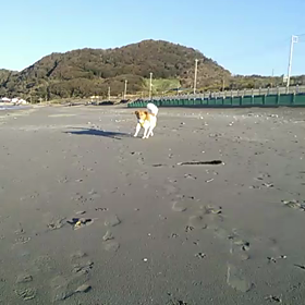 ジッカ動画の画像