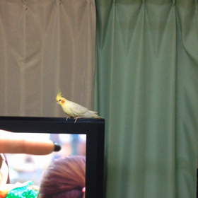 私の自慢☆の画像