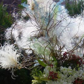 幸せの波動の画像