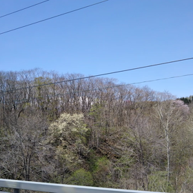 青函トンネルを抜けての画像