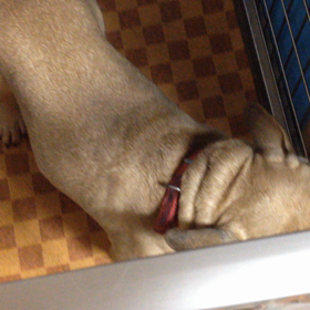 21と豆太郎の画像