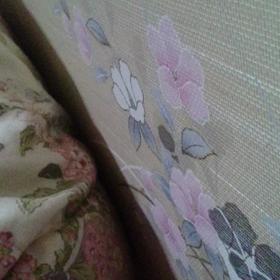 動画を撮ってみたパート2の画像