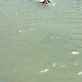 旅  2018/7/14の画像