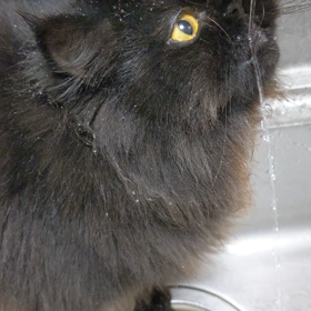 おバカ??な社長くんの画像