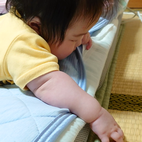 カリカリの画像