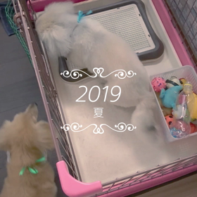 残暑見舞い申し上げます。の画像